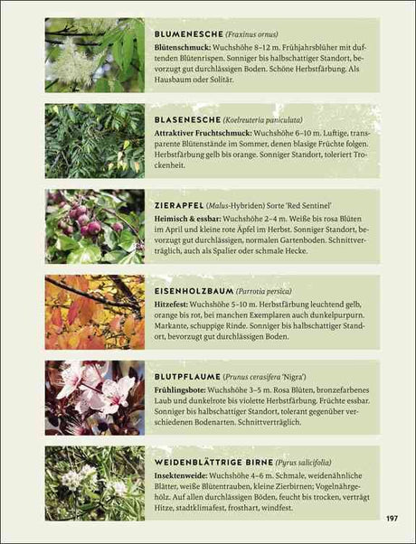 Sechs Baumarten mit Bildern, Namen, Beschreibung und Standort, darunter Blumen-, Frucht- und Laubbäume.