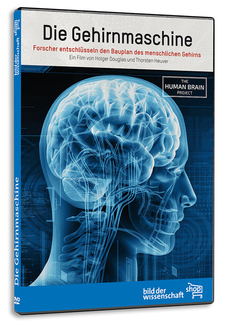 DVD-Hülle mit einem blauen, digitalen Abbild eines menschlichen Kopfes und Gehirns, Titel: "Die Gehirnmaschine".