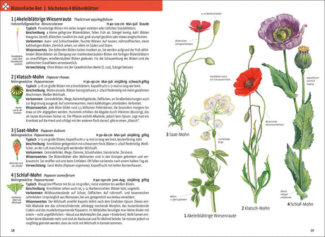 Illustration und Beschreibung von vier Wiesensaaten: Akeleiblättrige Wiesenraute, Klatsch-Mohn, Saat-Mohn, Schlaf-Mohn.