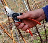 Profi-Gartenschere FELCO 11