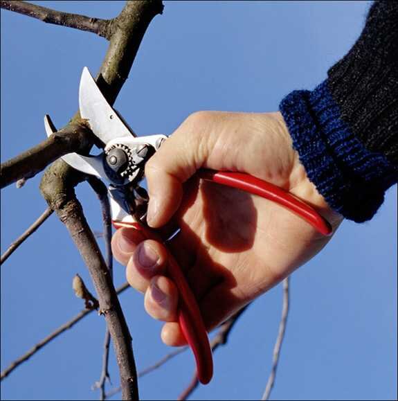 Profi-Gartenschere FELCO 11