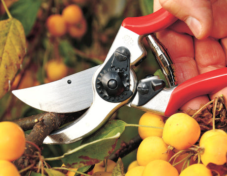 Profi-Gartenschere FELCO 11