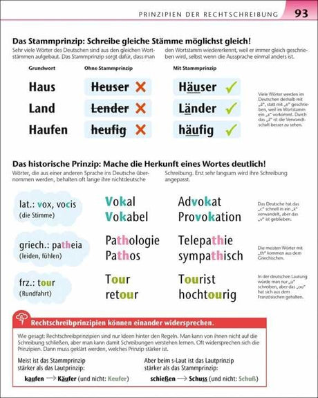 Vergleich von Grundworten und Stammprinzipien der Rechtschreibung, mit Beispielen zu Wortstämmen und Endungen.