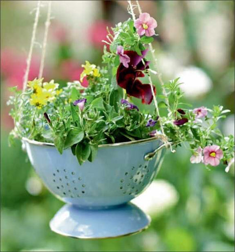 Hängende blühende Pflanzen in einer blauen Schale mit Löchern, im Garten.