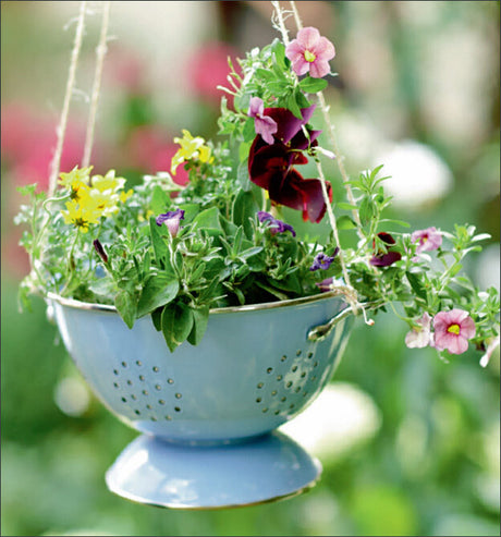 Hängende Blumenkorb mit bunten Petunien und anderen Blumen, im Garten.