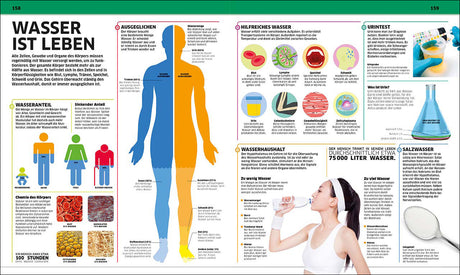 Grafik zeigt den Wasserhaushalt des Körpers, Wasseranteil, Funktionen und Bedeutung für Gesundheit.