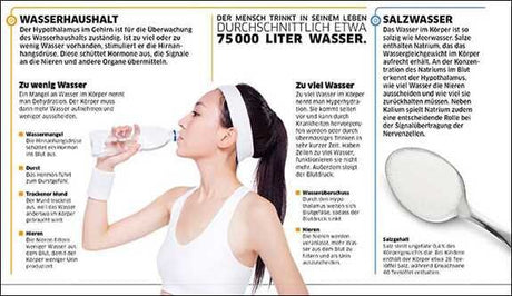 Frau trinkt Wasser aus einem Glas, daneben Infografik zu Wasserhaushalt und Salzgehalt im Körper.