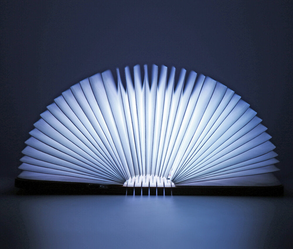 Buch-Lampe LED Klein