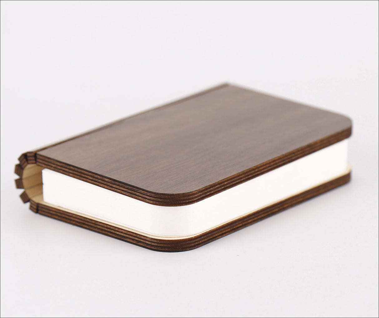 Buch-Lampe LED Klein