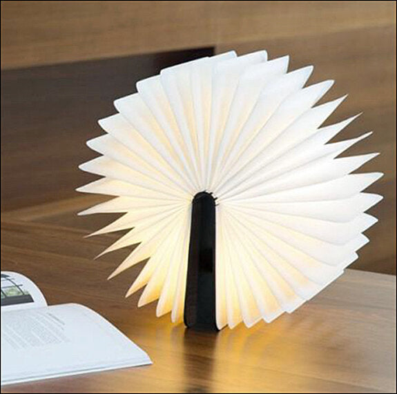 Buch-Lampe LED Klein