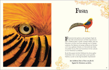 Seitenlayout mit Nahaufnahme eines goldenen Vogels, links, und Text über den Goldfasen, rechts.
