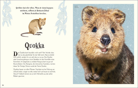 Seitenlayout mit Text über Quokkas auf der linken Seite und ein großes, realistisches Foto eines Quokkas auf der rechten Seite.