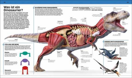 Schnittansicht eines Dinosauriers mit sichtbaren Knochen, Muskeln, Organen und Beinen, inklusive Illustrationen von Beinen