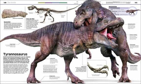 Schildkröte, Dinosaurier, Tyrannosaurus rex, Fossilien, Skelette, Dinosaurier-Illustration, Textbeschreibungen.