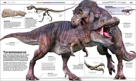 Zwei kämpfende Tyrannosaurus Rex mit geöffneten Mäulern, Zähnen sichtbar, auf grauem Boden.