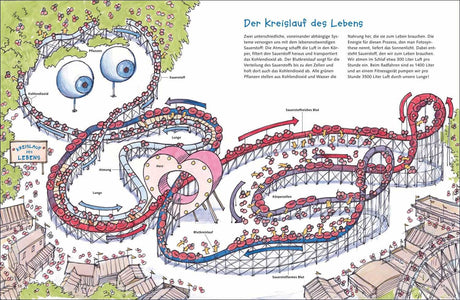 Illustration des Kreislaufs des Lebens mit Herz, Blut, Sauerstoff, Lunge, Zellen und Blutkreislauf.