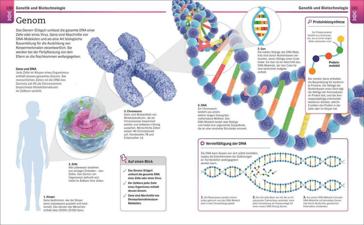 Visuelles Wissen. Biologie