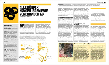 Illustration eines Nahrungskettenkreises mit Pflanzen, Herbivoren, Primärkonsumenten, Sekundärkonsumenten, Tertiärkonsumenten