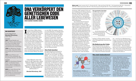 Illustration eines DNA-Doppelhelix mit Beschriftungen und einem Diagramm zur genetischen Codierung.