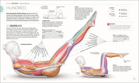Detaillierte Illustration einer Pilates-Übung mit Muskulatur, Gelenken und Bewegungsabläufen in Seitenansicht.