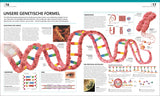 Doppelhelix-DNA mit farbigen Basenpaaren, DNA-Strang, Zellkern, DNA-Replikation, Transkription, Translation, Proteine.