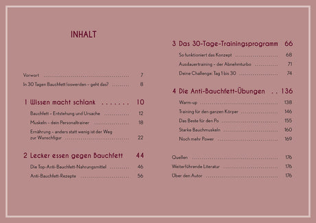Inhaltsverzeichnis mit Kapiteln zu Bauchfett, Ernährung, Trainingsprogramm und Anti-Bauchfett-Übungen.