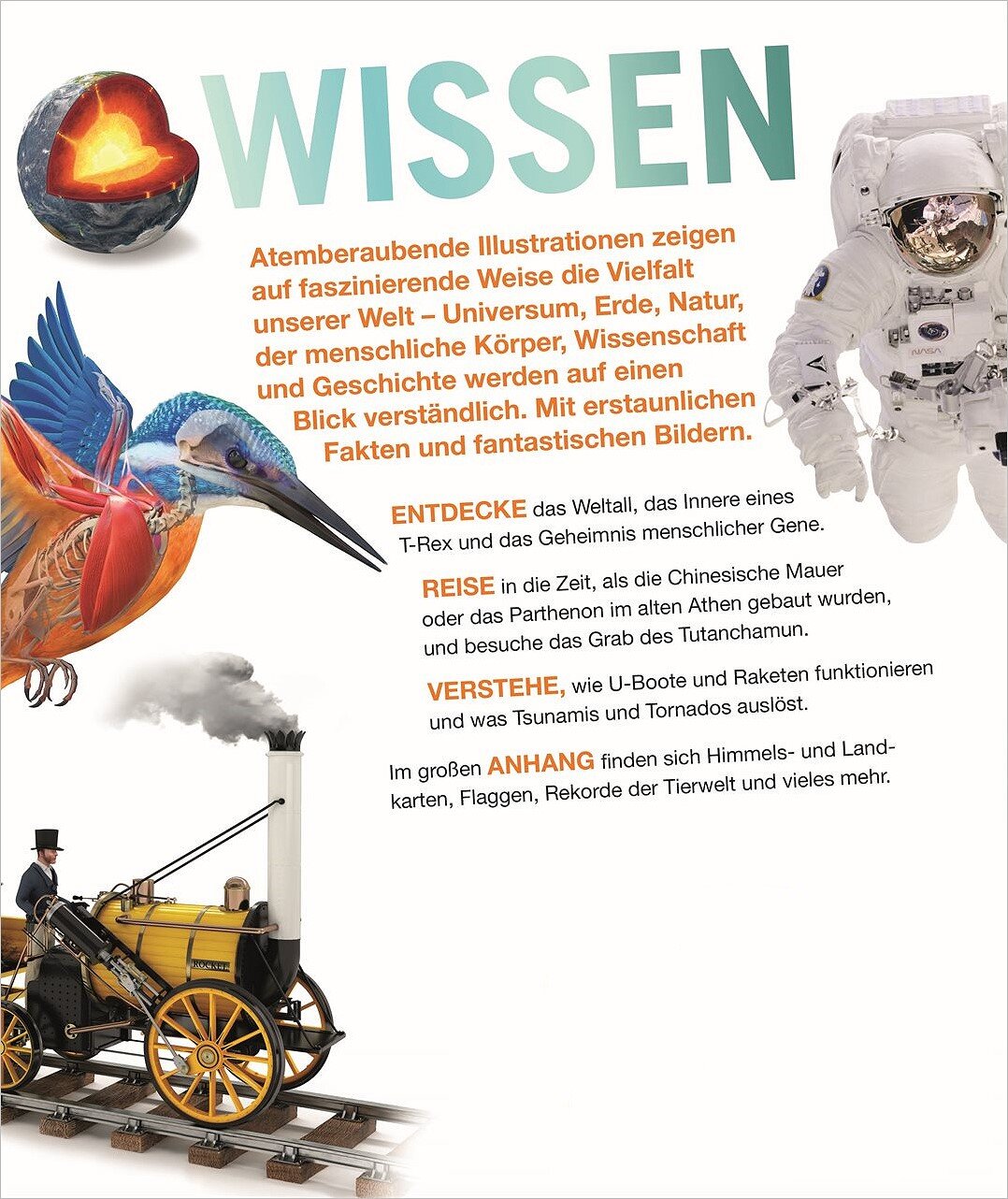 DK Wissen