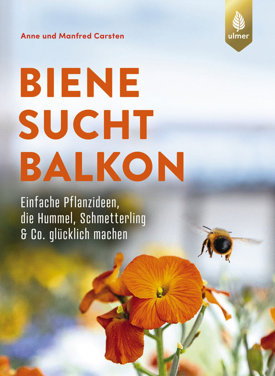 Biene sucht Balkon.