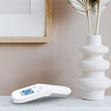 Fieberthermometer, Vase mit getrockneten Blättern, Bilderrahmen an Wand.