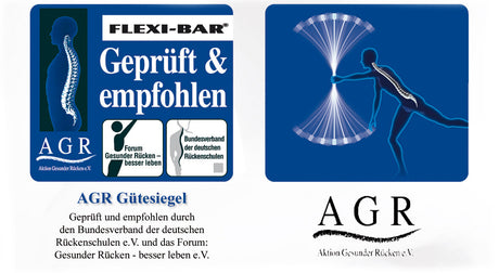 Bild mit Logo und Text, zeigt eine Figur, die eine Energiewelle nach vorne ausstreckt, mit Rückenmark-Illustration.