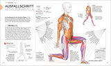 Krafttraining. Die Anatomie verstehen!