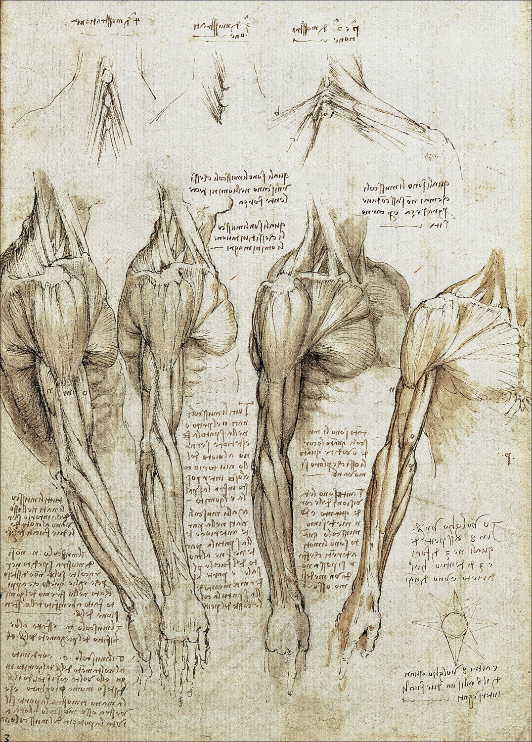 Dr. Frank Zöllner: Leonardo da Vinci