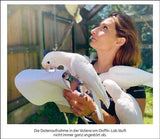 Der Erfindergeist der Tiere.