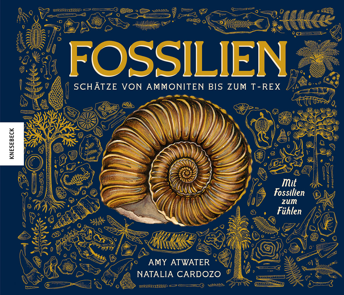 Fossilien – Schätze von Ammoniten bis zum T. Rex.