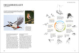 Das Buch der Gartenvögel.