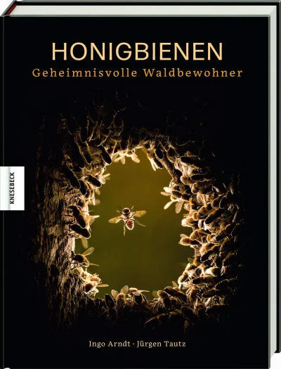 Honigbienen - geheimnisvolle Waldbewohner.