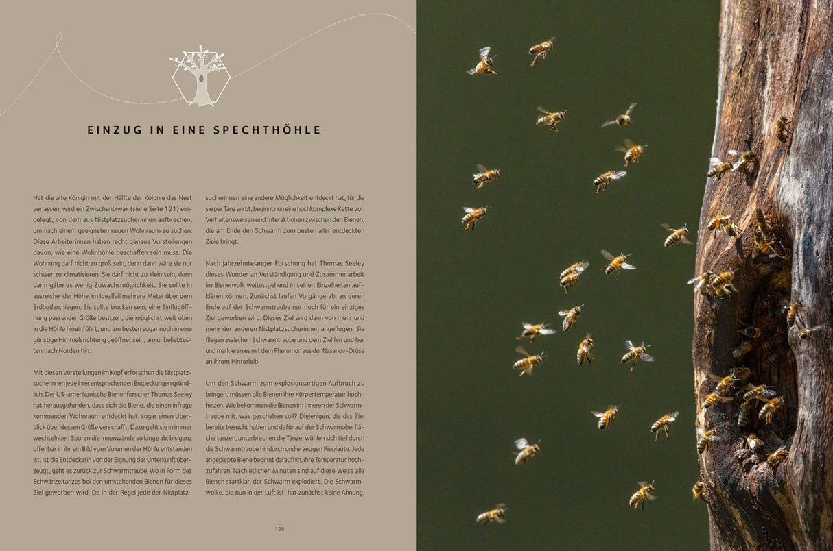 Honigbienen - geheimnisvolle Waldbewohner.