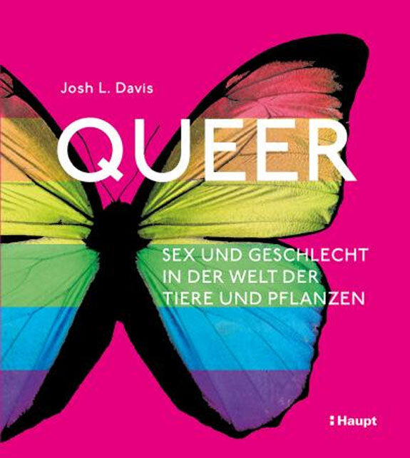 Queer.