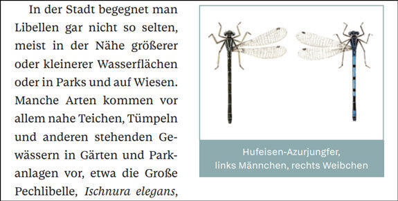Die verborgene Tierwelt unserer Städte.