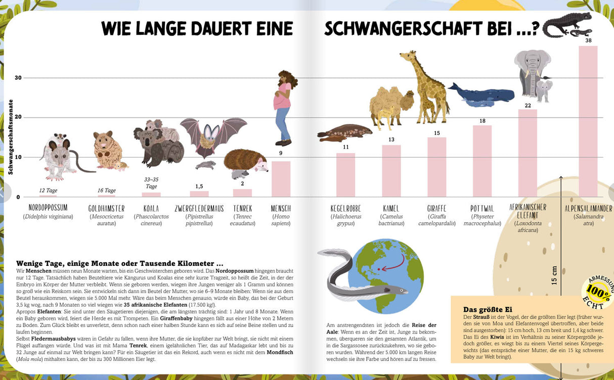 Wir messen die Welt.